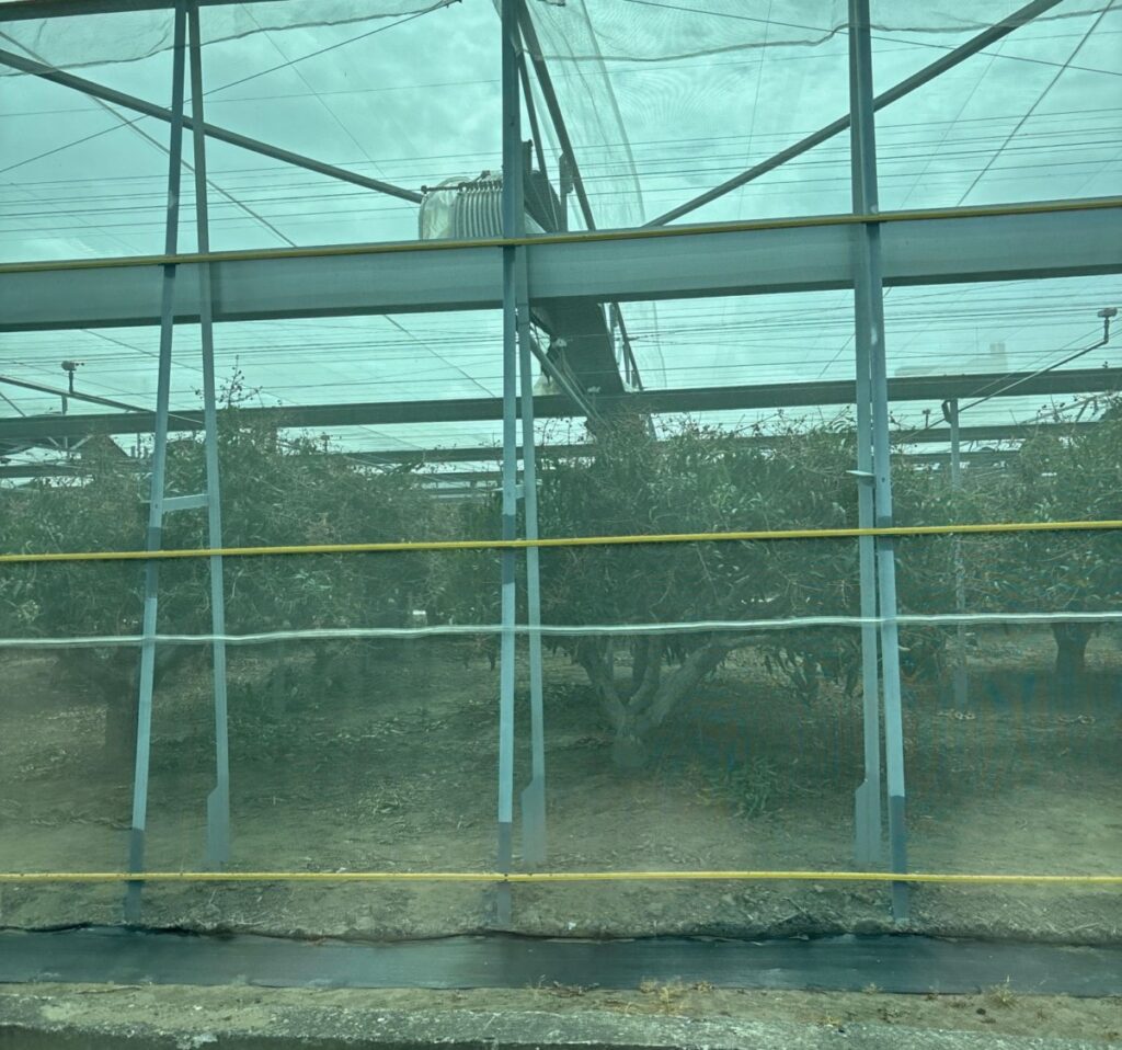 樺加沙颱風逼近，農業處提醒農漁民應提早因應並加強防範_0