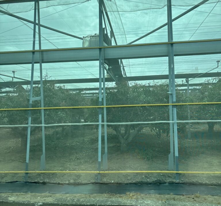 樺加沙颱風逼近，農業處提醒農漁民應提早因應並加強防範_0