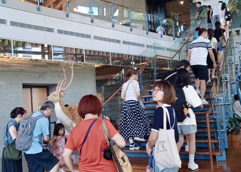 左鎮化石館參觀人潮