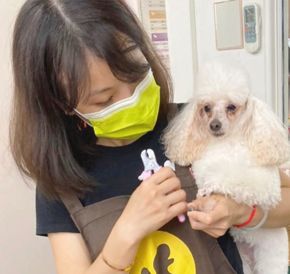 幫毛孩洗香香不再踩雷！「犬貓美容定型化契約」守護業者與飼主的小確幸