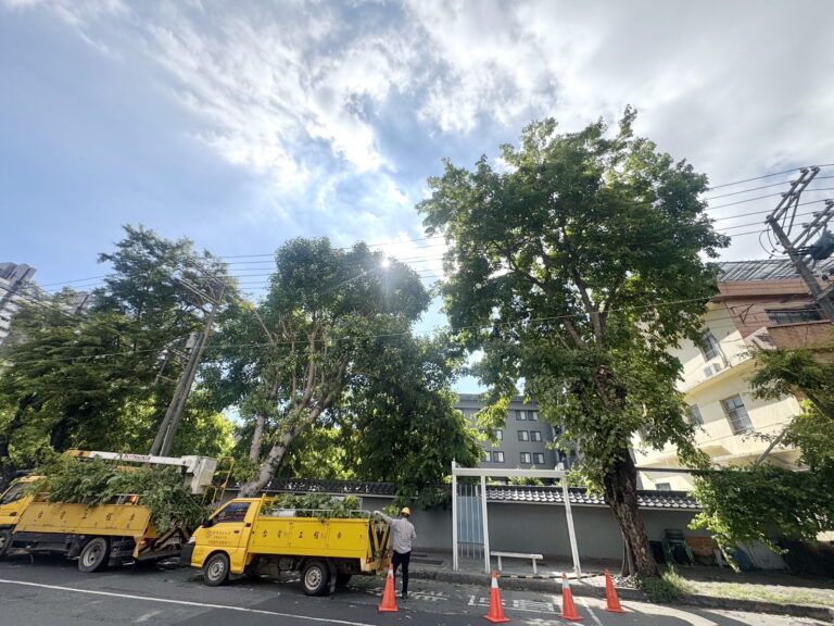 0_台電高雄區處於轄內進行樹木預防性修剪，以避免樹竹碰觸線路造成停電事故 (2)