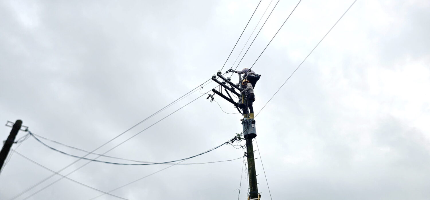 巴威颱風來襲 台電鳳山區處全力搶修 已復電逾94%