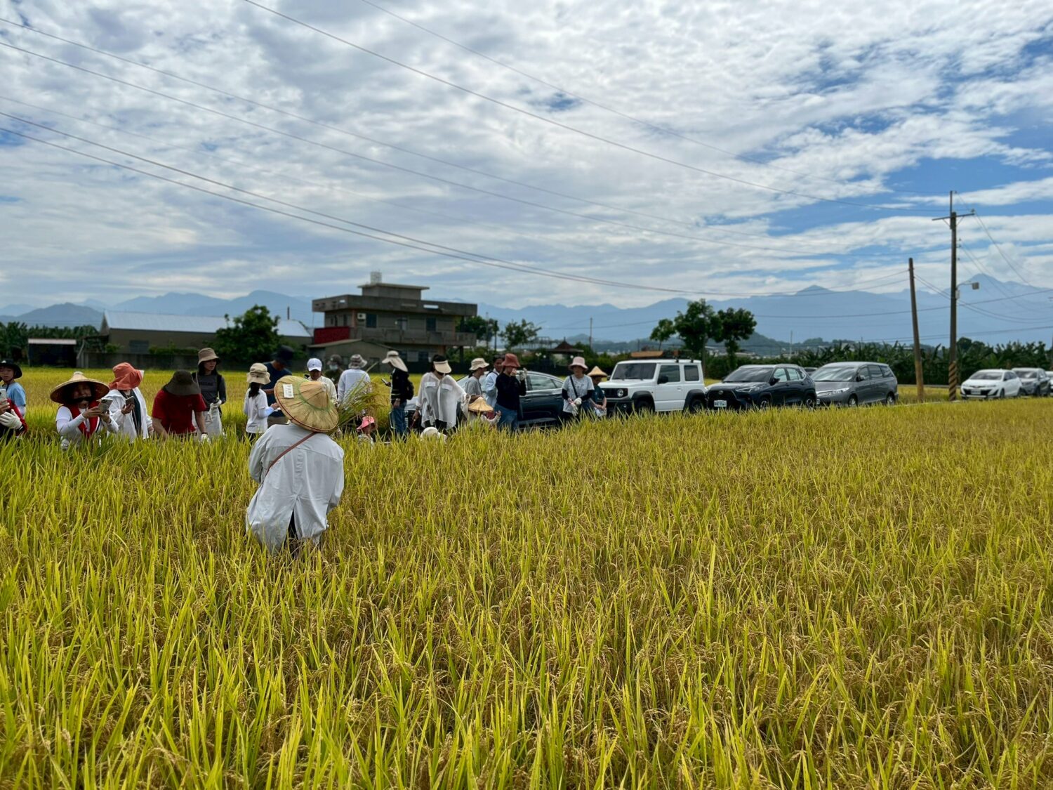 高雄客家米食節系列活動起跑！ 首推美濃食農小旅行 邀親子循著米香走進客庄